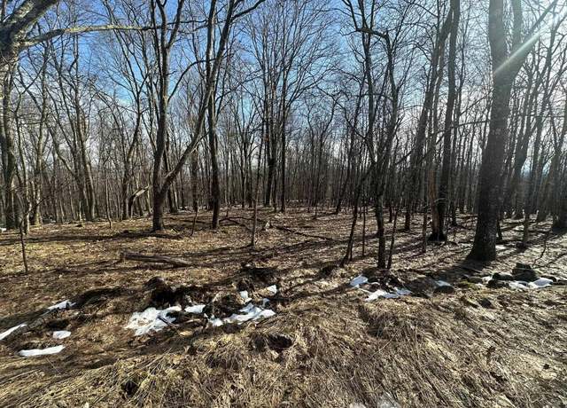 Property at Lot 122 Woodbine, Terra Alta, WV 26764