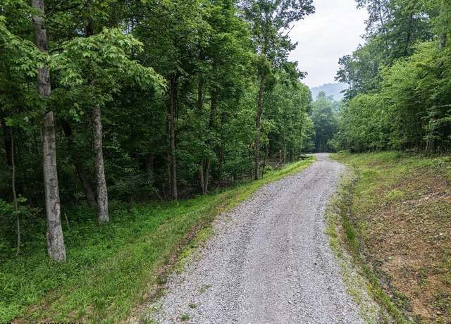 Property at Lot 130 Laurel, Bruceton Mills, WV 26525
