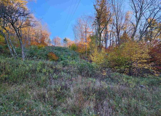 Property at Tract 34 Rocky, Harman, WV 26270