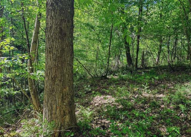 Property at 3372 Dinkenberger Rd, Kingwood, WV 26537