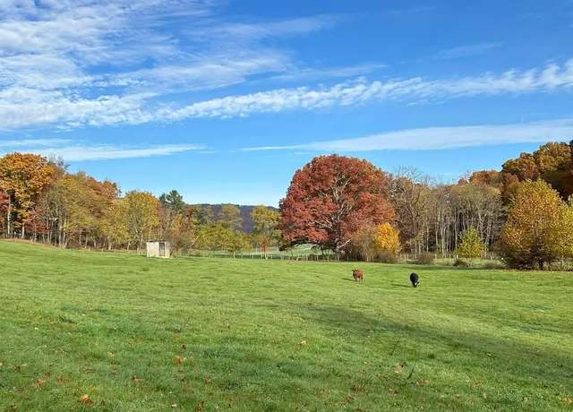Property at 65 Friel Hl, Huttonsville, WV 26273