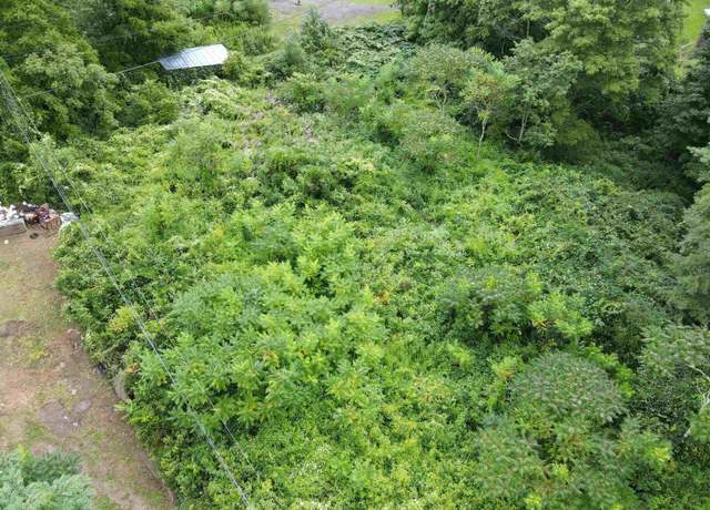 Property at TBD Highwood, Quinwood, WV 25958