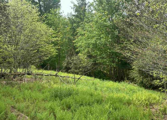 Property at Lot 19 Casentino, Davis, WV 26260