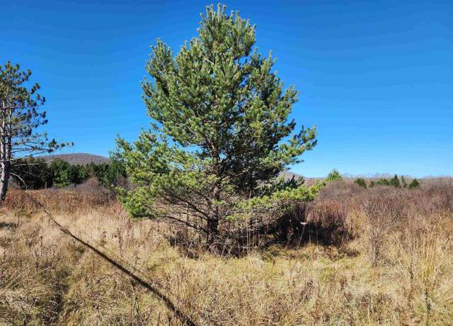 Property at Tract C Cortland, Davis, WV 26260