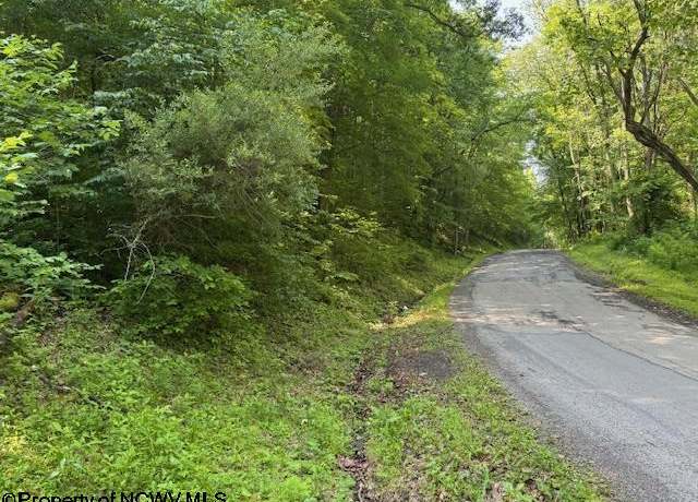 Property at TBD Iron Town, Independence, WV 26374