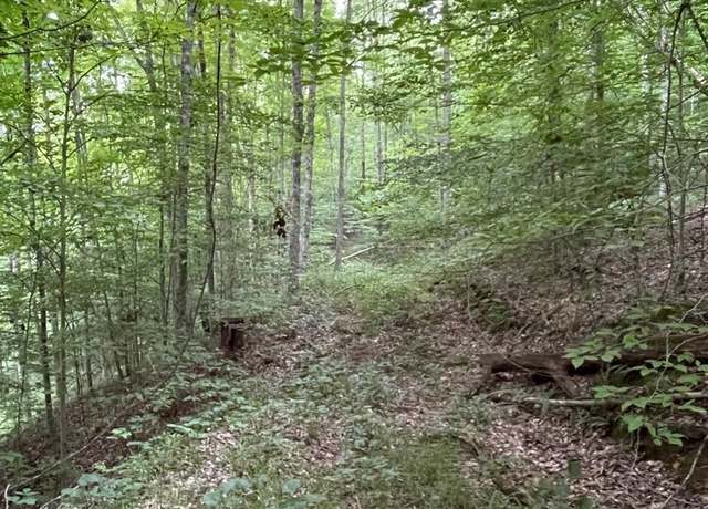 Property at TBD Weirlong, Clendenin, WV 25045