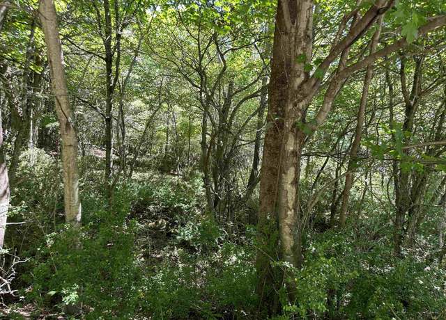 Property at Lot 10 Alpenglow Rdg, Dryfork, WV 26260