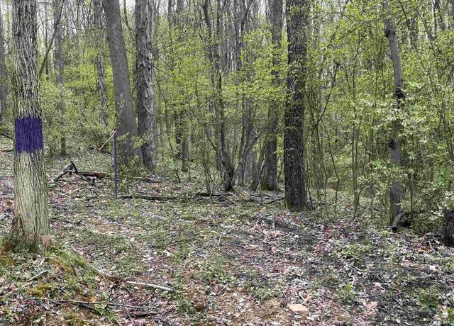Property at TBD Hickory Hl, Jane Lew, WV 26378