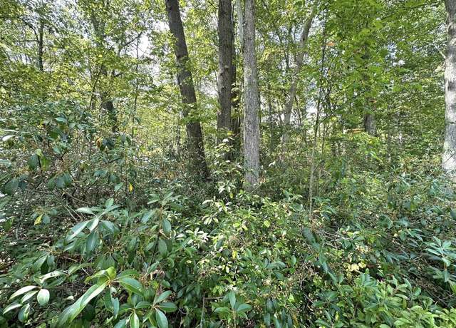Property at Lot 70 Pine, Terra Alta, WV 26764
