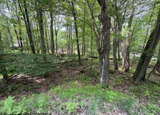 Property at Lot 34 E Alpine, Terra Alta, WV 26764