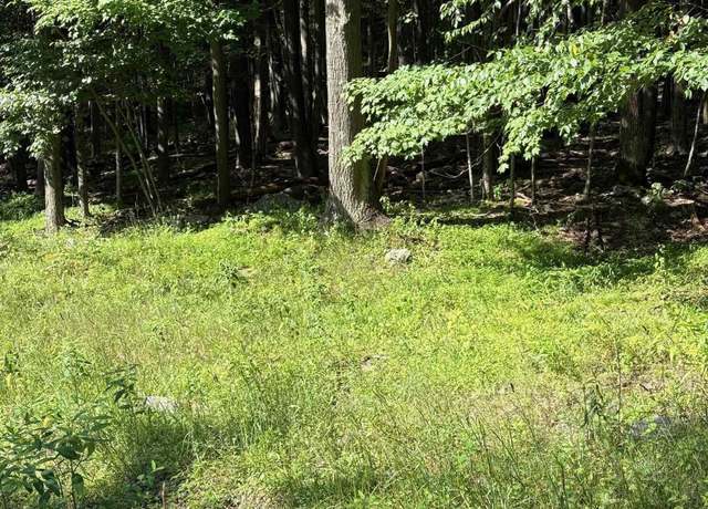 Property at Lot 34 E Alpine, Terra Alta, WV 26764