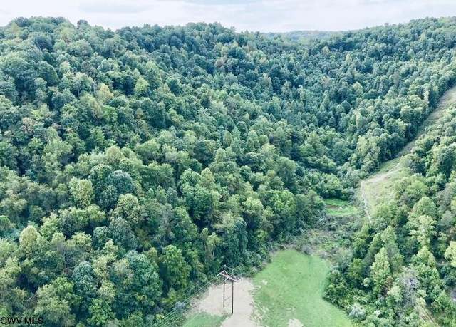 Property at TBD Crabapple Run, WV 26582