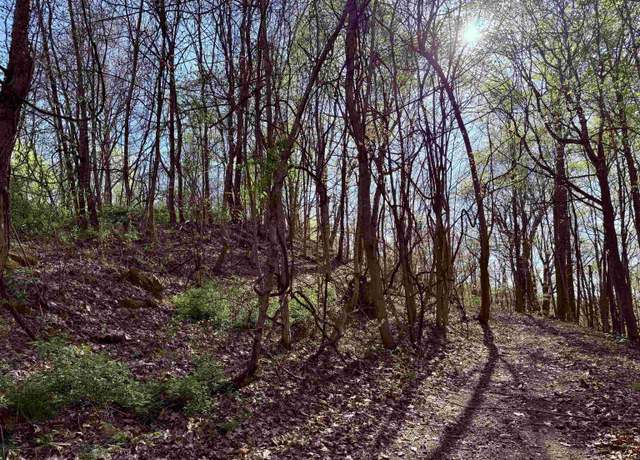 Property at 258 Bessie Ann Hl, Farmington, WV 26571