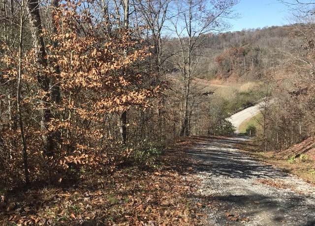 Property at TBD Mud Lick, Roanoke, WV 26447