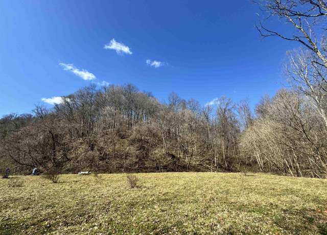 Property at TBD Flag Run Rd, Simpson, WV 26435
