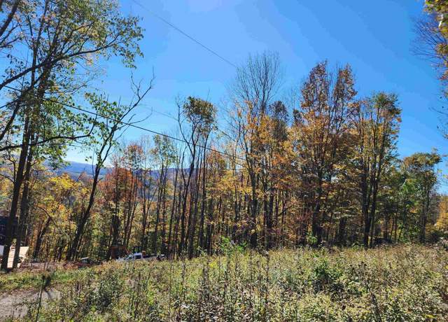 Property at 22 E Meadows, Harman, WV 26270