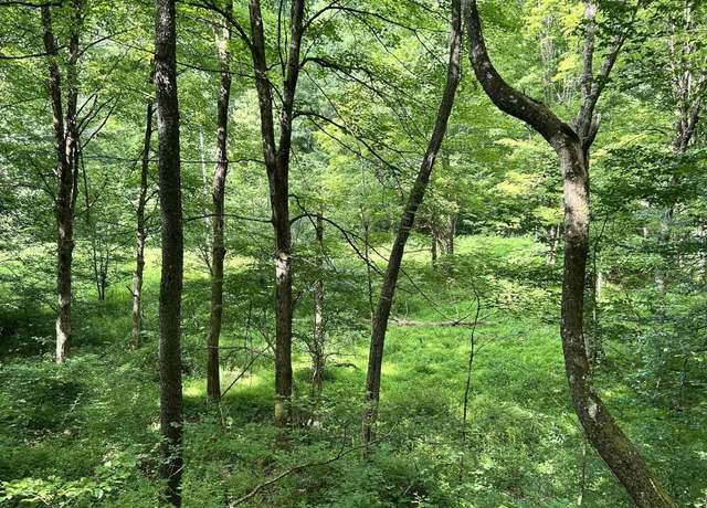 Property at TBD Indian Frk, Parsons, WV 26287