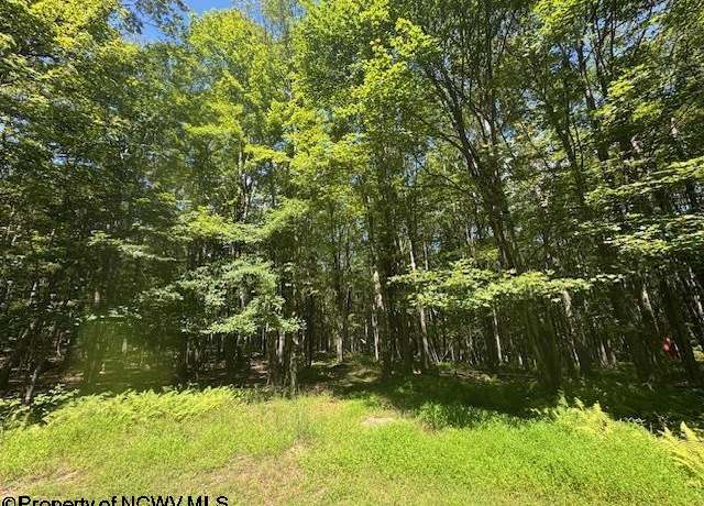 Property at TBD N Branch, Bruceton Mills, WV 26525
