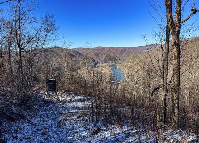 Property at TBD Lantz Rdg, Rowlesburg, WV 26425