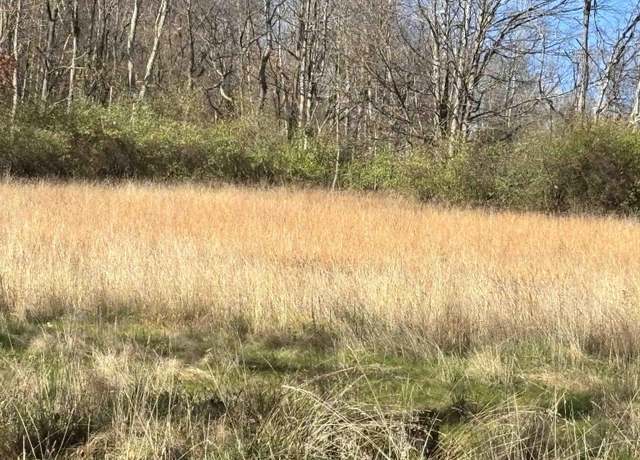 Property at TBD Planing Ml, Belington, WV 26250