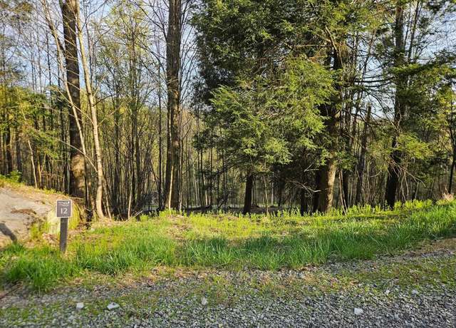 Property at Lot 12 Trailwood, Bruceton Mills, WV 26525