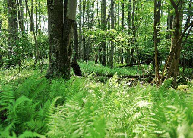 Property at lot 174 Laurel, Terra Alta, WV 26764