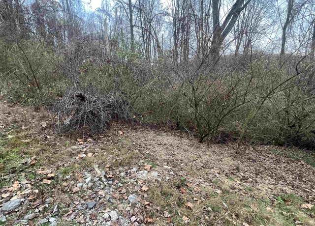 Property at 1154 Brady Gate Rd, Monterville, WV 26282