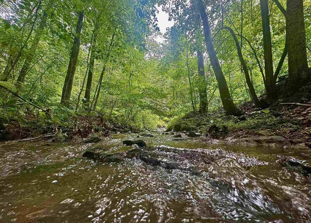 Property at Tract 1 S Teter Crk, Montrose, WV 26283