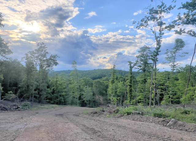 Property at TBD Flag Run, Grafton, WV 26354