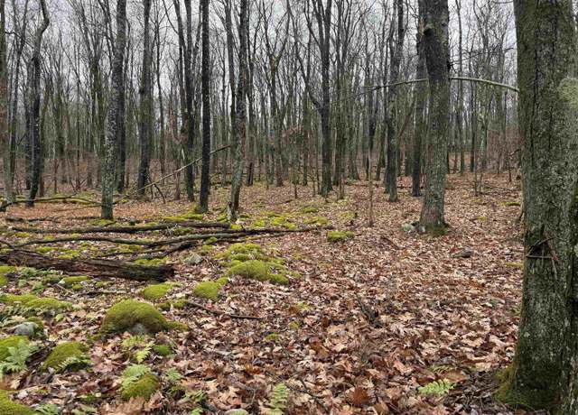 Property at Lots 81 & 82 Aster, Terra Alta, WV 26764