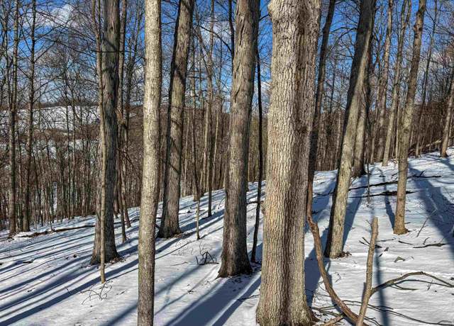 Property at TBD Big Paw Paw, Rivesville, WV 26588