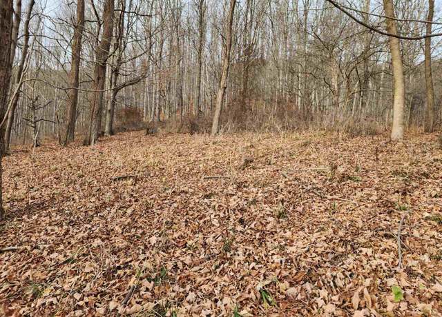 Property at Lot 4 High Mtn, Harman, WV 26270