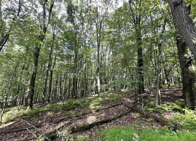 Property at lot 87 Ginger, Terra Alta, WV 26764