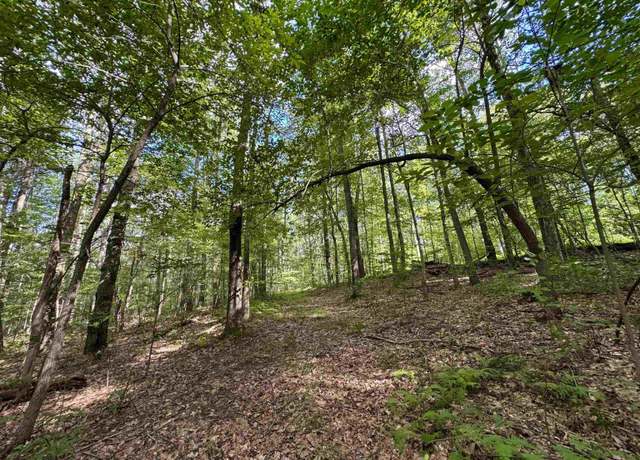Property at Tract 2 S Teter Crk, Montrose, WV 26283