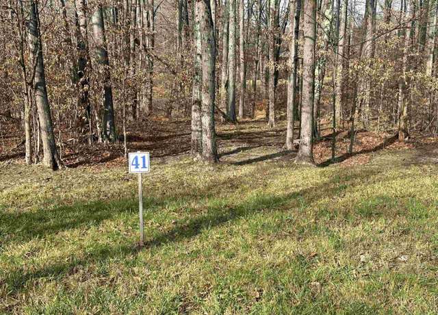 Property at Lot 41 Winterset, Davis, WV 26260