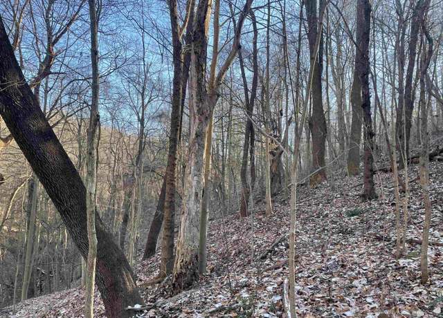 Property at TBD Ice, Pleasant Valley, WV 26554