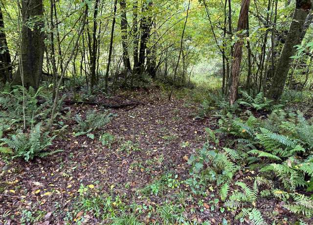 Property at Lot 1 Deckers Trl, Masontown, WV 26542
