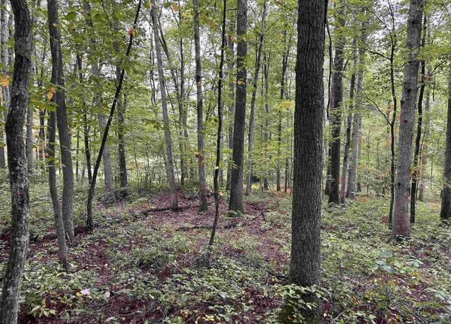 Property at Lot 2 Deckers Trl, Masontown, WV 26542