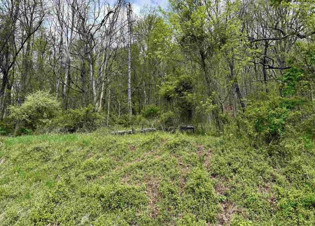 Property at TBD Highland, Mannington, WV 26582
