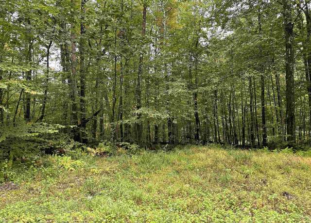 Property at Lot 3 Deckers Trl, Masontown, WV 26542