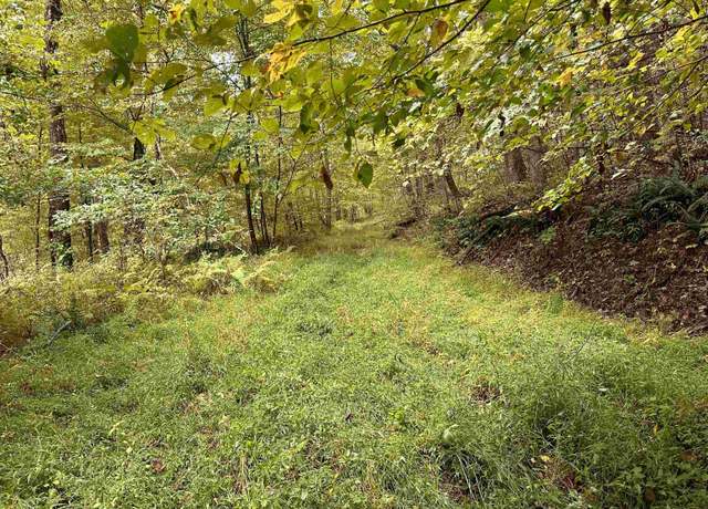 Property at Lot 6 Deckers Trl, Masontown, WV 26542