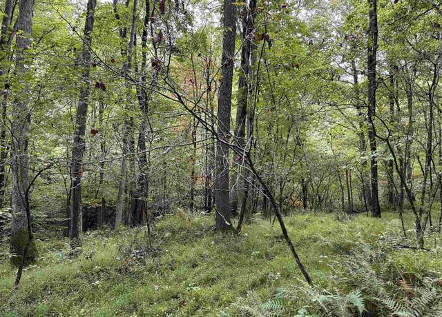 Property at Lot 7 Deckers Trl, Masontown, WV 26542