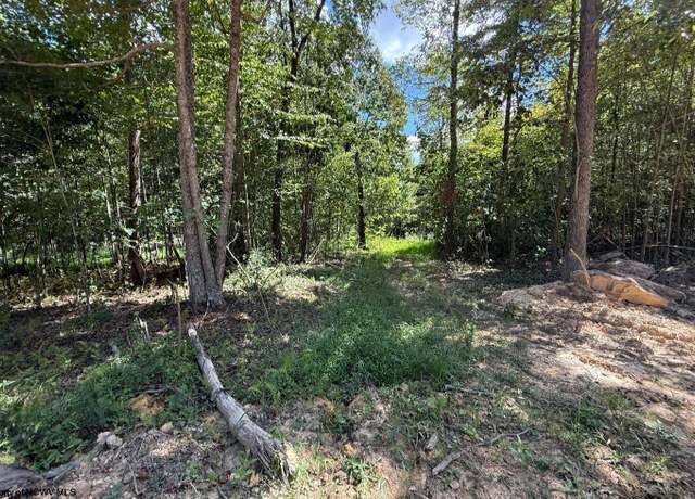 Property at Lot 4 Brooklyn, Moatsville, WV 26405