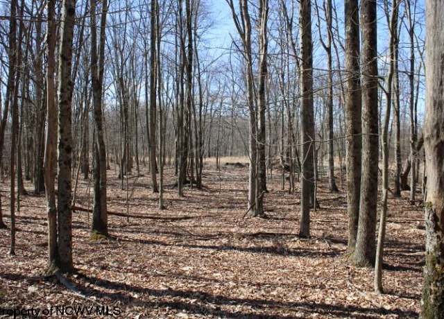 Property at Lot 7 Sand Bank Hts, Masontown, WV 26542