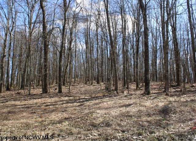 Property at Lot 6 Sand Bank Hts, Masontown, WV 26542