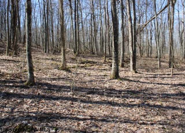 Property at Lot 5 Sand Bank Hts, Masontown, WV 26542