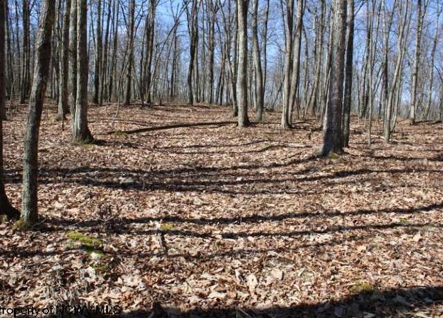 Property at Lot 4 Sand Bank Hts, Masontown, WV 26542