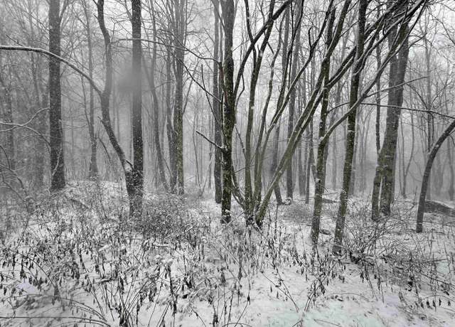 Property at Lot 9 Bobolink, Terra Alta, WV 26764