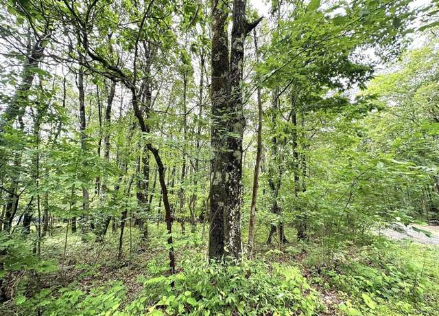 Property at Lot 14 Ash, Terra Alta, WV 26764