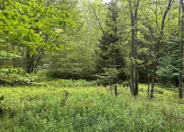 Property at Lot 16 Black Bear, Davis, WV 26260